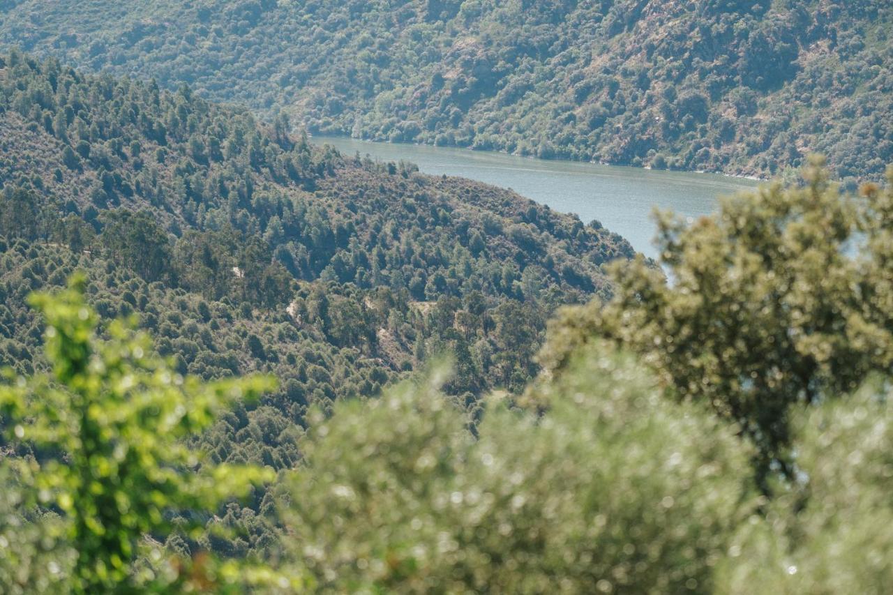 Casa Arribas - Rio Douro Aos Seus Pes * Bemposta (Braganca)